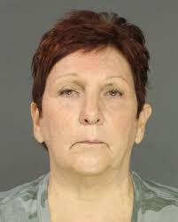 2 Amity Township women charged with stealing $1,300 in groceries from Giant  store in Exeter Township