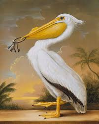 Wooloo Org The Cabinet Of Curiosities By Kevin Sloan Surreal Art Louisiana Art Birds Painting