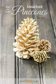 How To Make Gorgeous Bleached Pinecones Pine Cone Decorations Cones Crafts Pine Cone Crafts