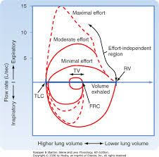 Image Result For Maximal Effort Flow Volume Curve Flow