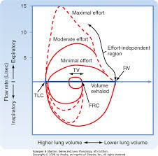 image result for maximal effort flow volume curve flow