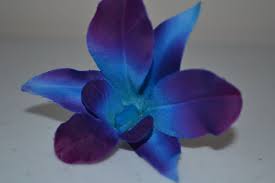 Exclusive Line Artificial Silk Blue Purple Galaxy Dendrobium Singapore Orchids Purple Wedding Bouquets Real Touch Wedding Flowers Real Touch Flowers