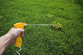 Chemical runoff from residential and farm products affects rivers, streams and even the ocean. How To Spray Lawns For Weeds Safely And Effectively Lawnstarter