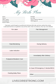 Pdf Birth Plan Template Free How To Make The Ultimate Birth Plan Birth Plan Template Birth Plan How To Plan