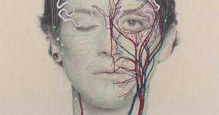 Cette douce certitude du pire, par François Vitrani (Le Monde diplomatique,  janvier 1992)