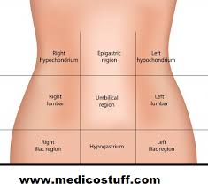 Abdominal quadrants are a way of sectioning internal organs into four regions for diagnostic, and descriptive purposes. Abdominal Quadrants And Its Contents Abdominal Organs By Region Medicostuff