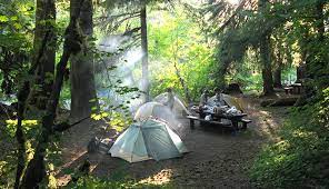 Millions of visitors travel every year to see natural beauty the national parks have to offer. Rv Camping At Olympic National Park