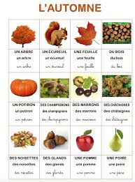 Imagier Sur Le Theme De L Automne Utilisable Comme Memory Aide Memoire Observation Des Differentes Franzosisch Vokabeln Vorschulideen Franzosischunterricht