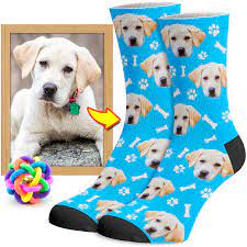 Custom Dog Socks Put Your Dog On Socks Socksery