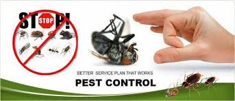 We Provide Home Pest Control Available All Type Of Pest Control Service Get Was Control Home Pest Provi In 2020 Termite Control Cockroach Control Pest Control