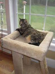 Cat Tree Plan 9 Bustopher Jones Window Bed This Cat Condo Is Great To Put In Front Of A Window Its A Perfect Fit Cat Window Bed Cat Tree Plans Cat Window
