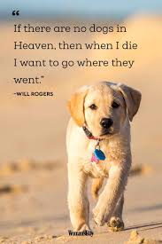 20 Best Dog Quotes That Perfectly Describe Your Fur Baby Best Dog Quotes International Dog Day Cute Dog Quotes