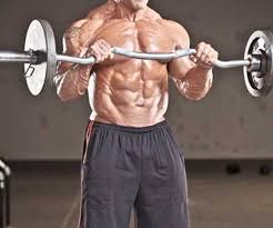 Ez Bar Workout Shop Www Spora Ws