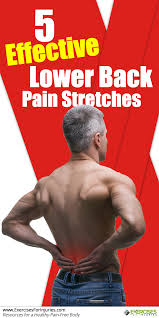 Pin On Lower Back Pain