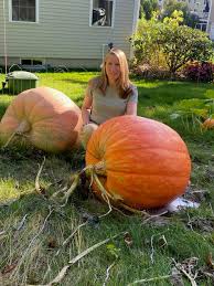 Image result for giant pumpkin