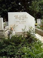 She is married to former prime minister ferenc gyurcsány. Antal Apro Wikipedia