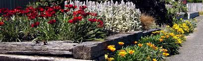 Landscape Design Portfolio Landscape Designer Jane Inge Kapiti Wellington Plants Landscape Garden