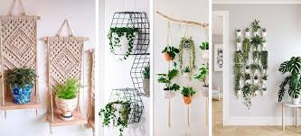 8 cuadro con plantas suculentas. 10 Ideas Para Decorar Tus Paredes Con Macetas O Plantitas Coinqva