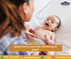 Cara merawat tanaman cabe di usia 0 haring hingga 1 bulan. Cara Merawat Peranakan Jatuh Secara Semulajadi Lulubae
