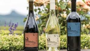 Resultado de imagen de LABORATORIOS DE VINO