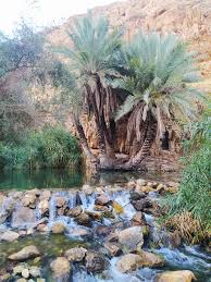 Arabic Wikipedia ويكيبيديا العربية