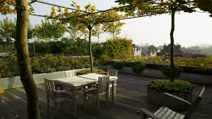 / you need to deal with planning. How To Create An Urban Rooftop Garden