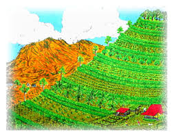 Sloping Land Agricultural Technology Bgr International