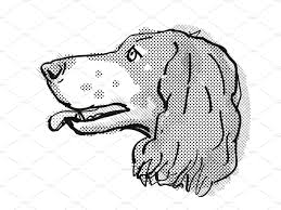 Black And White Spaniel Cartoon French Spaniel Dog Breed Cartoon Cartoon Style Drawing Spaniel Dog Cartoon Styles