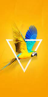 Download this wallpaper as android phone desktop or lock screen(for common samsung, huawei, xiaomi, oppo, oneplus, vivo, tecno, lenovo android phones): Download Tecno Camon X Wallpapers Droidviews