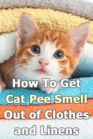 How To Get Cat Pee Smell Out Of Clothes And Linens Thecatsite Articles In 2020 Cats Smelling Cat Pee Smell Pee Smell