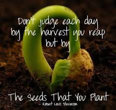Plant Seeds Each Day Seed Quotes Inspiring Quotes About Life Planting Seeds