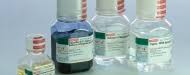 Check spelling or type a new query. Animal Cell Culture