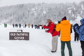 To feed bears from the comfort of their cars, and to watch old faithful the geyser. 5 Reasons To Visit Yellowstone This Winter Jackson Hole Wy