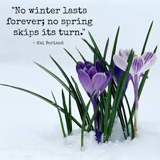 We did not find results for: Quotes About First Flowers Of Spring Aden