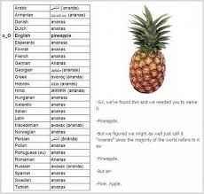 Pineapple In Different Languages Humor Tumblr Funny Have A Laugh