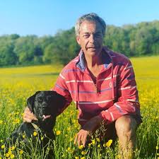 On tuesday, home secretary priti patel will introduce her nationality and borders bill in parliament. Nigel Farage On Twitter The Sun Is Shining In The Garden Of England