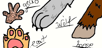 Then glue the foot to the top for a fun bulletin board display! Idk Lol Just Some Cartoon Feet Paws Hoof By Flekaspirit On Deviantart