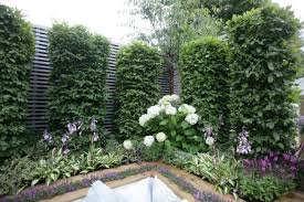 Baume Fur Kleine Garten Hainbuche Formschnitt Hortensie Formschnitt Garten Garten Gartenarchitekt