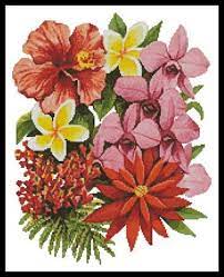 With over 17,000 cross stitch patterns, leaflets and books available, we're sure you can find the perfect pattern! Tropical Flowers Of Oz By Artecy Cross Stitch