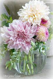 The Gilded Bloom Dahlia Flower Arrangements Dahlia Flower Garden Floral Photography
