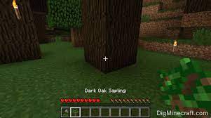 Dark oak trees require a 3×3 column of unobstructed space at least 7 blocks above the sapling to grow (8 blocks including the sapling itself). How To Make A Dark Oak Sapling In Minecraft