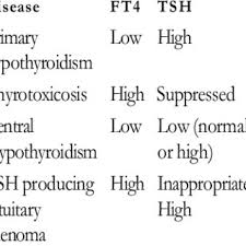 Image result for Thyroid Function Test