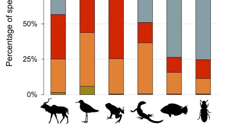 Modern 'Sixth Mass Extinction' Event Will Be Worse Than First Predicted:  Report