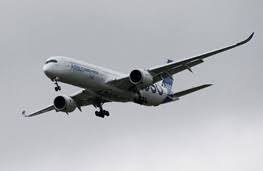 Image result for ‫امنیت پرواز از وب امریکائی‬‎