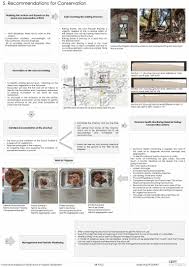 Conservation Strategies for Dutch ...