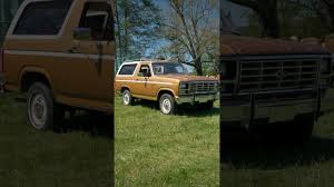 Image result for Medium Copper 1980 Bronco