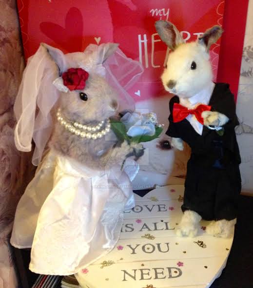 Bride and Groom Rabbit Wedding Taxidermy by HannahMortem on DeviantArt