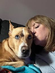 Introduction to diamond painting hobby