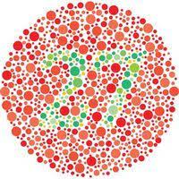 Maybe you would like to learn more about one of these? Ujian Buta Warna Special Education Quiz Quizizz