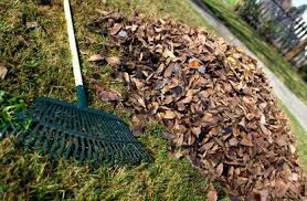 Rubble removal pretoria north looks for those kinds of jobs as we believe we make a difference in people's lives and they fully appreciate it. Garden Refuse Removal Services Johannesburg Removal Of Rubble